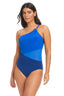 Solid Essentials One Shoulder Mesh One-Piece - Beyondcontrolswimwear